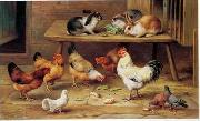 unknow artist Cocks and rabbits 130 china oil painting reproduction